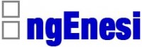 IngEnesi logo